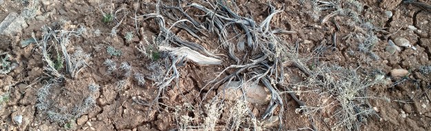 IMG_20150329_175716742