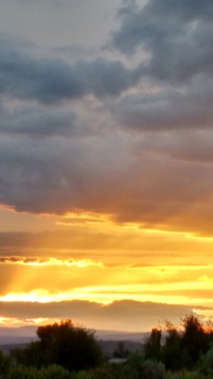 IMG_20150717_201248623_HDR