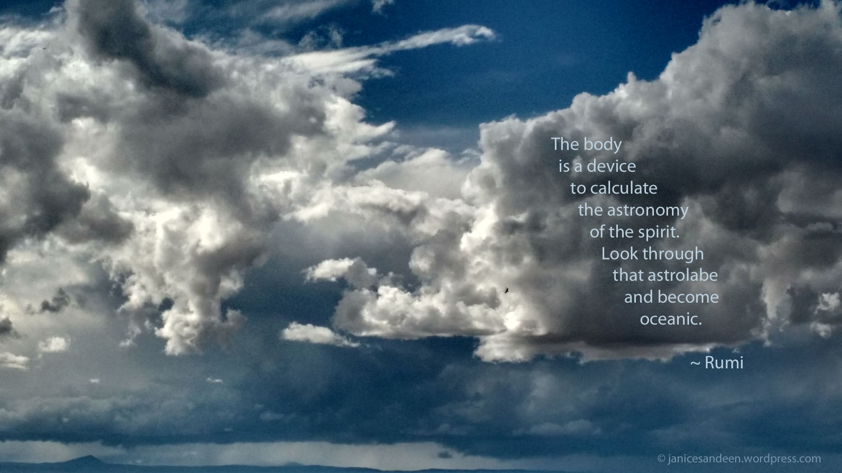 Rumi Hawk Ocean sky copy