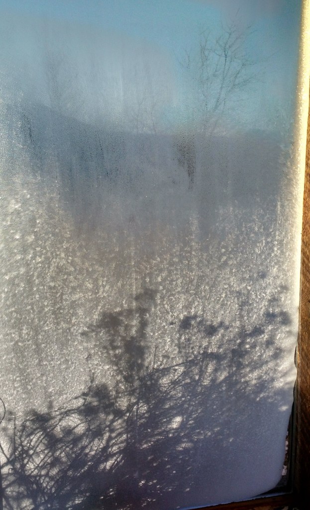 img_20190208_075218416_hdr-1